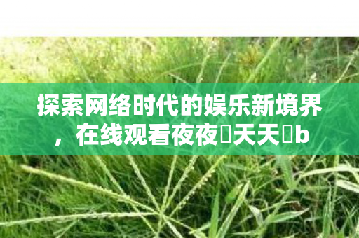 探索网络时代的娱乐新境界，在线观看夜夜橾天天橾b