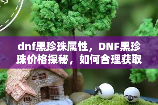 dnf黑珍珠属性，DNF黑珍珠价格探秘，如何合理获取与交易？