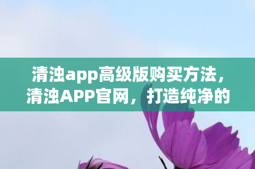 清浊app高级版购买方法，清浊APP官网，打造纯净的网络环境，守护用户隐私安全