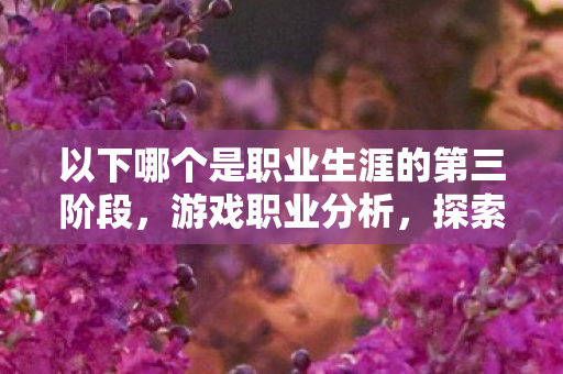 以下哪个是职业生涯的第三阶段，游戏职业分析，探索游戏职业背后的深度与魅力