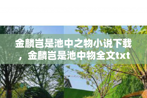 金麟岂是池中之物小说下载，金麟岂是池中物全文txt下载