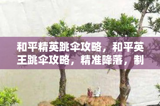和平精英跳伞攻略，和平英王跳伞攻略，精准降落，制胜先机