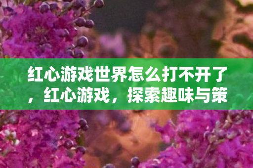 红心游戏世界怎么打不开了，红心游戏，探索趣味与策略并重的休闲新选择