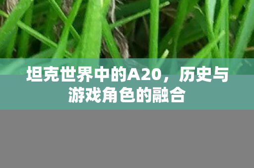 坦克世界中的A20，历史与游戏角色的融合