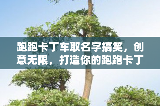 跑跑卡丁车取名字搞笑，创意无限，打造你的跑跑卡丁车个性昵称