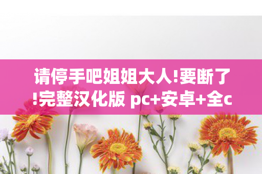 请停手吧姐姐大人!要断了!完整汉化版 pc+安卓+全cg，游戏世界里的灰色阴影，警惕停手吧姐姐大人要断了背后的风险