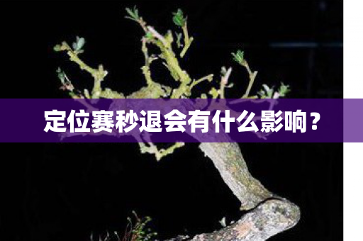 定位赛秒退会有什么影响？