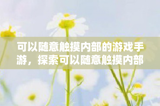 可以随意触摸内部的游戏手游，探索可以随意触摸内部的游戏手游的奇妙世界