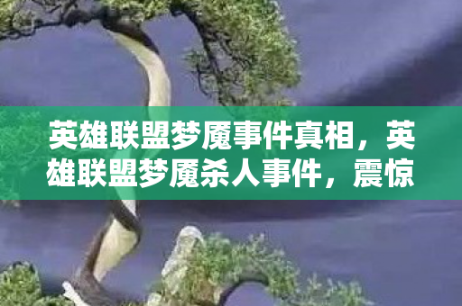 英雄联盟梦魇事件真相，英雄联盟梦魇杀人事件，震惊游戏界的悲剧