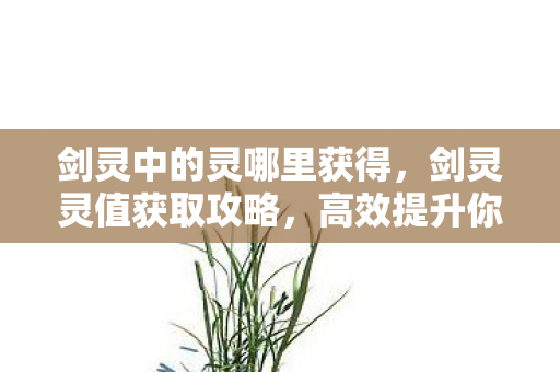 剑灵中的灵哪里获得，剑灵灵值获取攻略，高效提升你的游戏实力