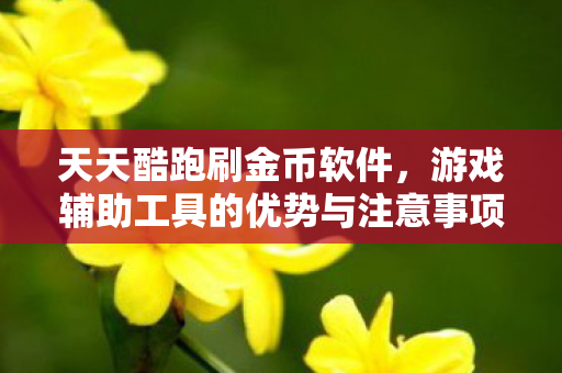 天天酷跑刷金币软件，游戏辅助工具的优势与注意事项