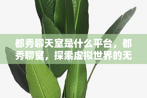 都秀聊天室是什么平台，都秀聊室，探索虚拟世界的无限可能