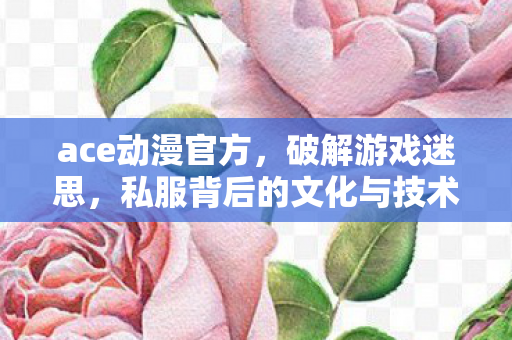 ace动漫官方，破解游戏迷思，私服背后的文化与技术探索