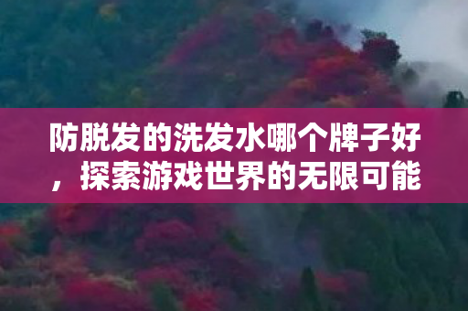 防脱发的洗发水哪个牌子好，探索游戏世界的无限可能，解锁游戏服务器的多样选择