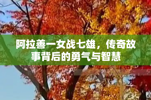 阿拉善一女战七雄，传奇故事背后的勇气与智慧