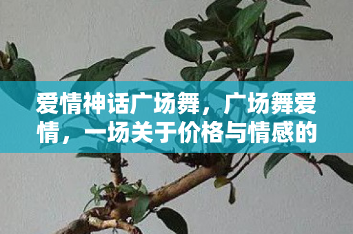 爱情神话广场舞，广场舞爱情，一场关于价格与情感的舞蹈