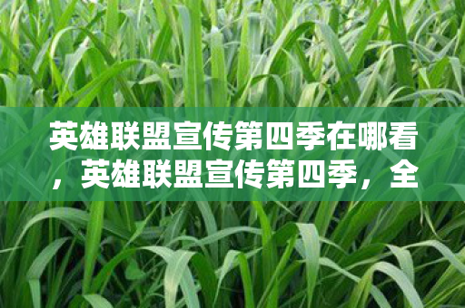 英雄联盟宣传第四季在哪看，英雄联盟宣传第四季，全新赛季，全新挑战