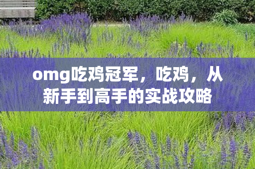 omg吃鸡冠军，吃鸡，从新手到高手的实战攻略