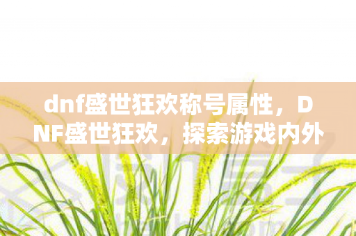 dnf盛世狂欢称号属性，DNF盛世狂欢，探索游戏内外的狂欢盛宴