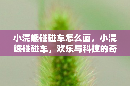 小浣熊碰碰车怎么画，小浣熊碰碰车，欢乐与科技的奇妙碰撞