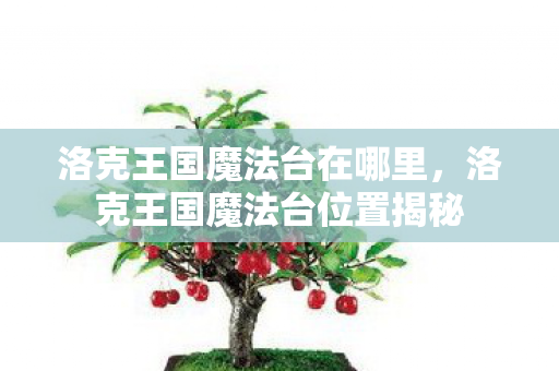 洛克王国魔法台在哪里，洛克王国魔法台位置揭秘