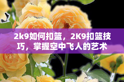 2k9如何扣篮，2K9扣篮技巧，掌握空中飞人的艺术