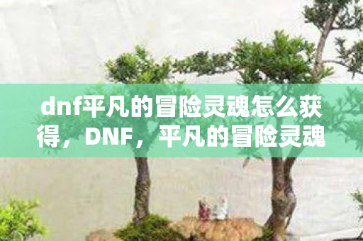 dnf平凡的冒险灵魂怎么获得，DNF，平凡的冒险灵魂