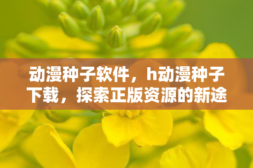 动漫种子软件，h动漫种子下载，探索正版资源的新途径
