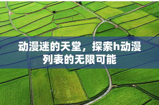 动漫迷的天堂，探索h动漫列表的无限可能