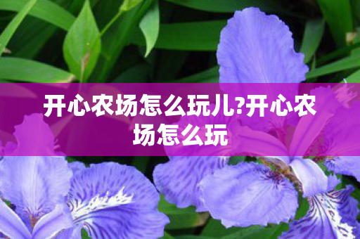 开心农场怎么玩儿?开心农场怎么玩