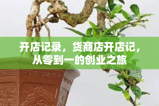 开店记录，货商店开店记，从零到一的创业之旅