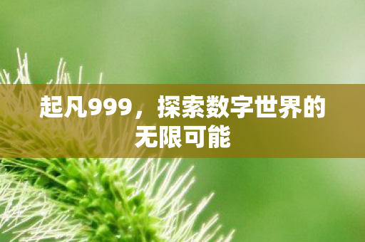起凡999，探索数字世界的无限可能