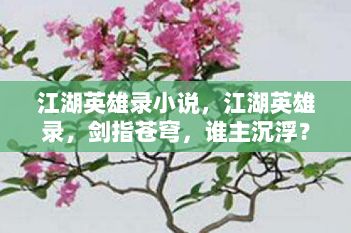 江湖英雄录小说，江湖英雄录，剑指苍穹，谁主沉浮？