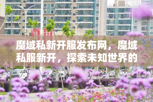 魔域私新开服发布网，魔域私服新开，探索未知世界的奇幻之旅