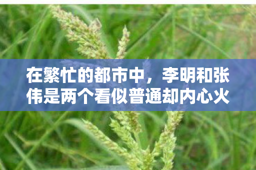 在繁忙的都市中，李明和张伟是两个看似普通却内心火热的男人。他们是在一次偶然的机会下相遇的，那时在一家昏暗的酒吧里，彼此的眼神交汇，仿佛点燃了心中的火花。从那以后，他们开始了一段不为人知的秘密恋情