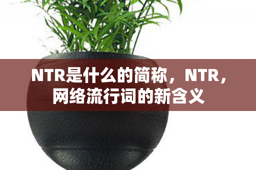 NTR是什么的简称，NTR，网络流行词的新含义