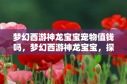 梦幻西游神龙宝宝宠物值钱吗，梦幻西游神龙宝宝，探索游戏中的神秘宠物