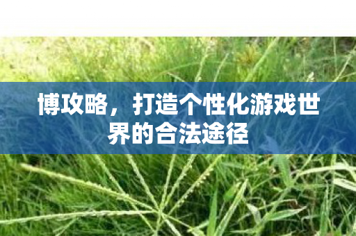博攻略，打造个性化游戏世界的合法途径