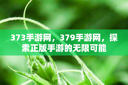 373手游网，379手游网，探索正版手游的无限可能