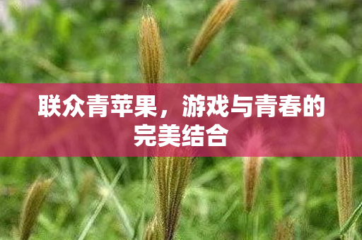 联众青苹果,游戏与青春的完美结合 联众青苹果,游戏与青春的完美结合