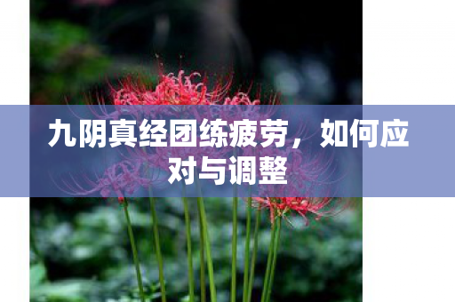 九阴真经团练疲劳，如何应对与调整