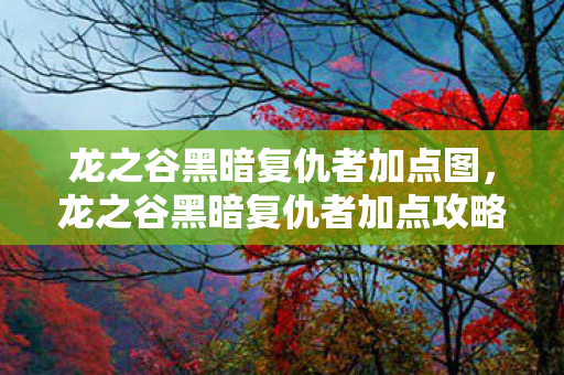 龙之谷黑暗复仇者加点图，龙之谷黑暗复仇者加点攻略
