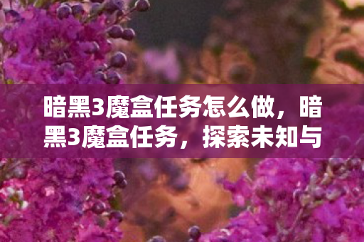 暗黑3魔盒任务怎么做，暗黑3魔盒任务，探索未知与冒险的奇幻之旅