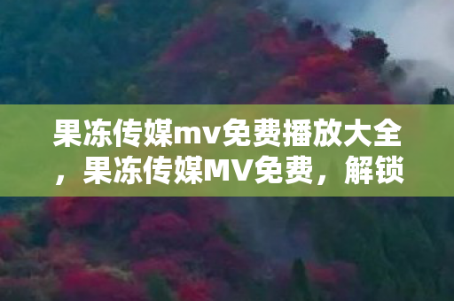 果冻传媒mv免费播放大全，果冻传媒MV免费，解锁娱乐新体验