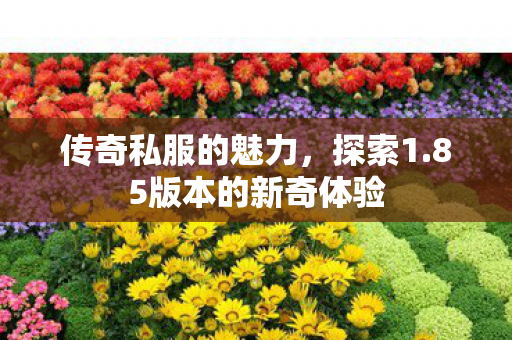 传奇私服的魅力，探索1.85版本的新奇体验
