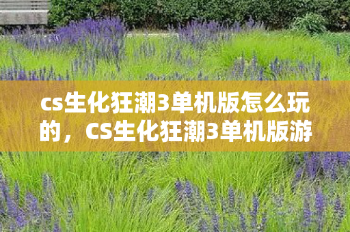 cs生化狂潮3单机版怎么玩的，CS生化狂潮3单机版游玩指南