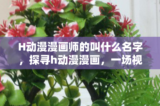 H动漫漫画师的叫什么名字，探寻h动漫漫画，一场视觉盛宴的无限可能