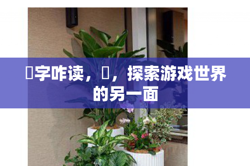 胔字咋读，胔，探索游戏世界的另一面