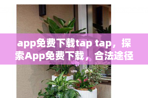 app免费下载tap tap，探索App免费下载，合法途径与注意事项