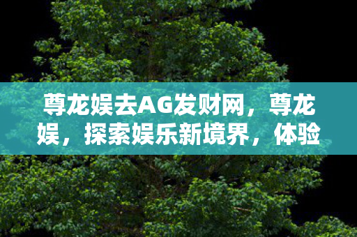 尊龙娱去AG发财网，尊龙娱，探索娱乐新境界，体验非凡游戏之旅